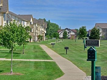 Walking paths